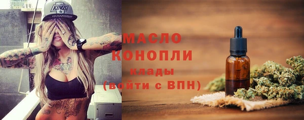 хмурый Няндома