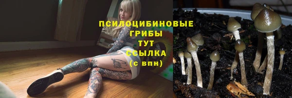 амф Армянск