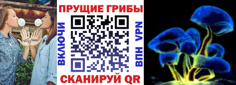 Псилоцибиновые грибы прущие грибы  даркнет клад  Тавда  что такое  